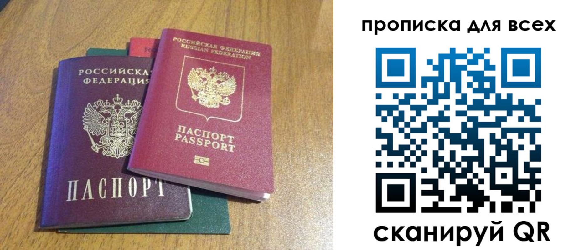 прописка гарантия в Ясном